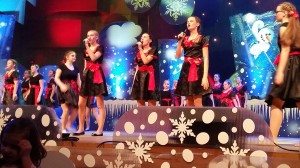 Zbor201718-2-300x168